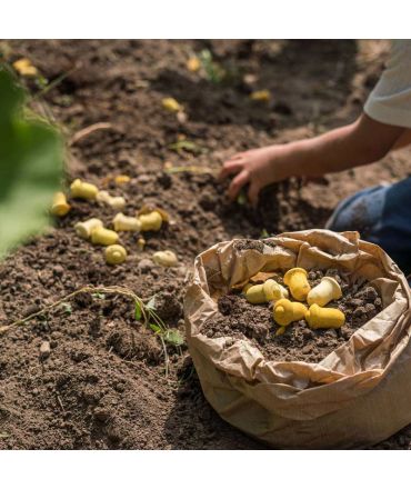 36 Piezas para Mandala de Joguines Grapat - Aúpa Organics