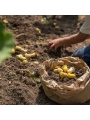 36 Piezas para Mandala de Joguines Grapat - Aúpa Organics