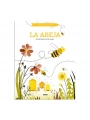 La abeja - Benoît Broyart - Aúpa Organics