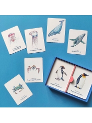 Juego de Cartas Un mar de animales Editorial MTM - Aúpa Organics