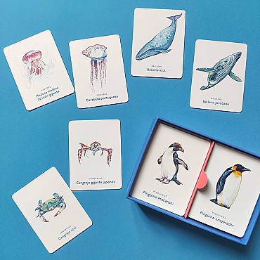 Juego de Cartas Un mar de animales Editorial MTM - Aúpa Organics