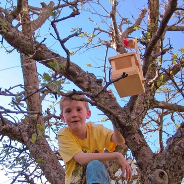 Gran Teleférico Juguete educativo y de aventura - Aúpa Organics